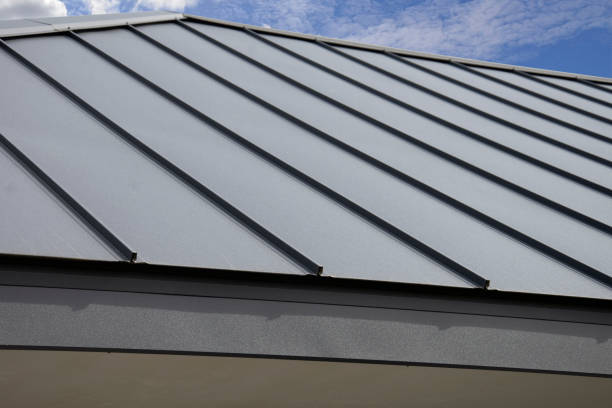 Best Roof Maintenance and Cleaning  in Oyster Bay Cove, NY