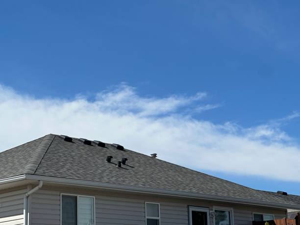 Best Roof Ventilation Installation  in Oyster Bay Cove, NY